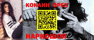 гидра Новодвинск