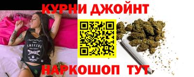 гидра Новодвинск