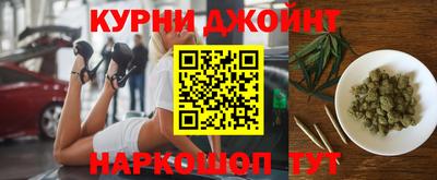 гидра Новодвинск