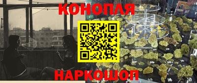 гидра Новодвинск