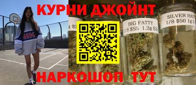 гидра Новодвинск