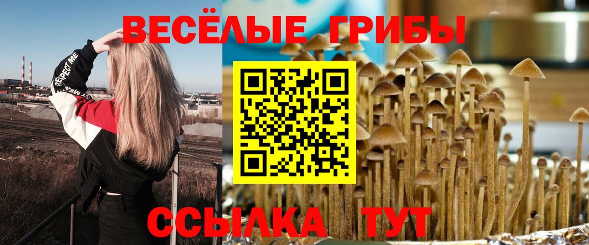 Ульяновск  Псилоцибиновые грибы мухоморы  Псилоцибиновые грибы Psilocybe  Вход с VPN 