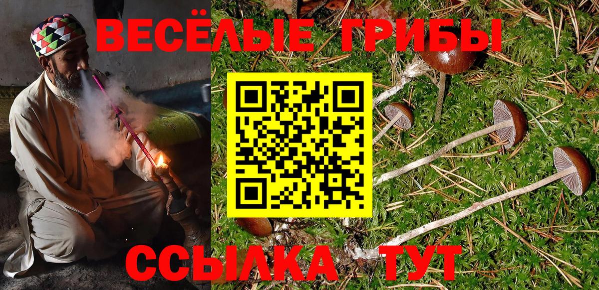 Псилоцибиновые грибы прущие грибы Ульяновск